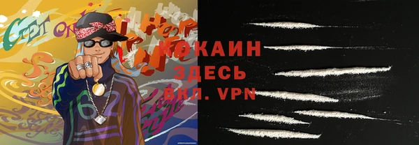 стаф Осинники
