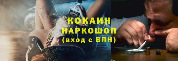 стаф Осинники