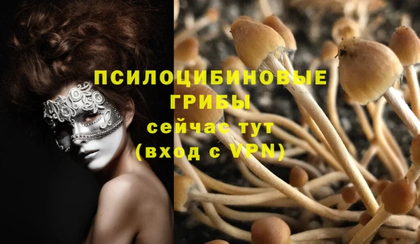 кокаин премиум Няндома