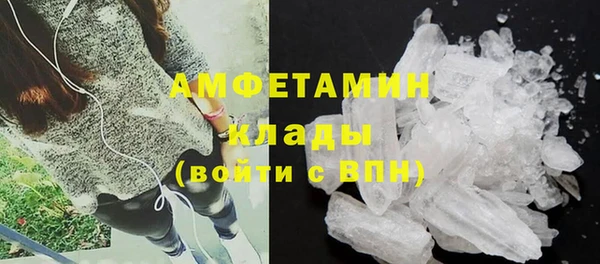 стаф Осинники