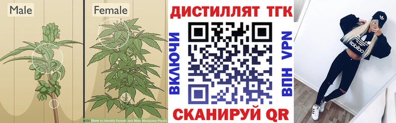 hydra как войти  площадка телеграм  Кирс  ТГК вейп  где продают наркотики 