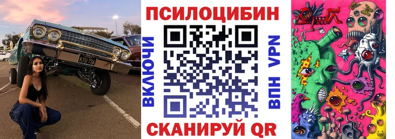 shop формула  Кирс  Галлюциногенные грибы Psilocybe  купить закладку 