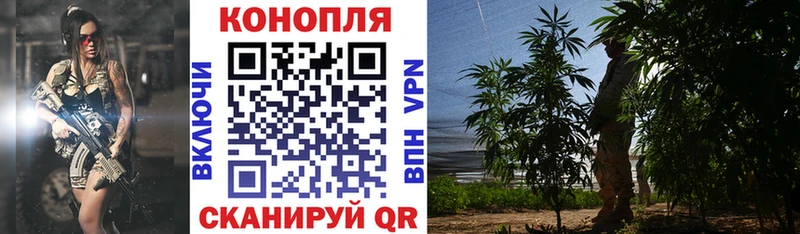 Бошки марихуана тримм Кирс